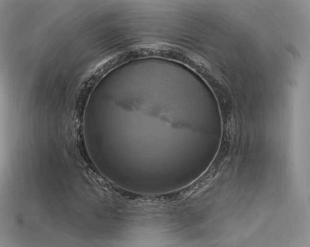 X0000115660822200911121212
