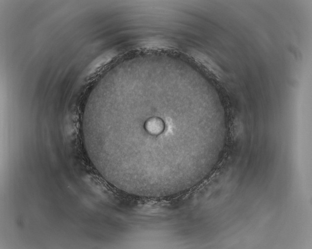 X0000115660824200911121212