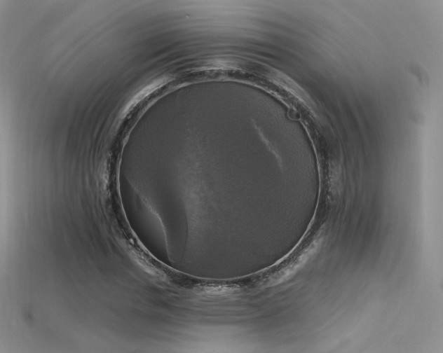 X0000115660826200911121212