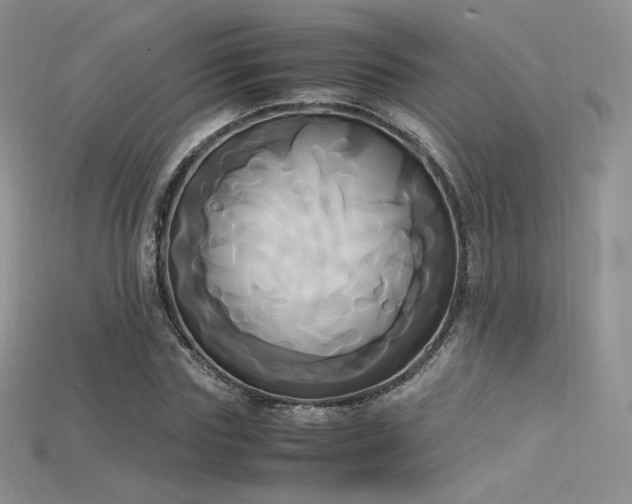 X0000115660827200911121212