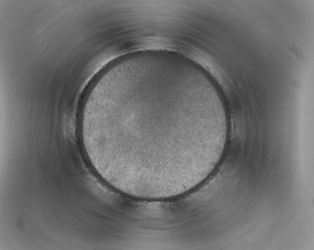 X0000115660828200911121212