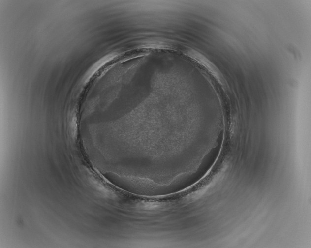 X0000115660829200911121212