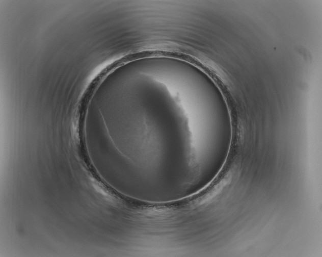X0000115660830200911121212