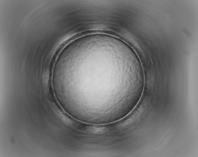 X0000115660831200911121212