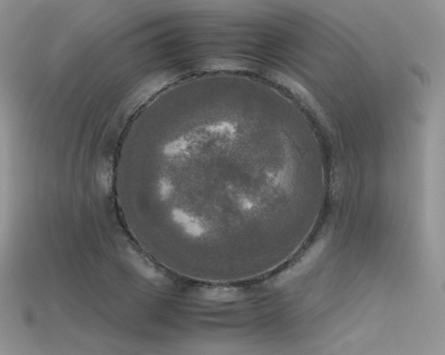 X0000115660833200911121212