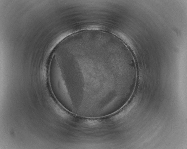 X0000115660835200911121212
