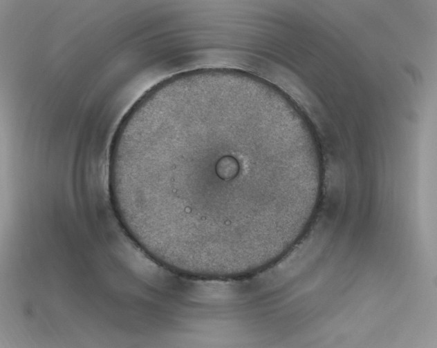 X0000115660836200911121212