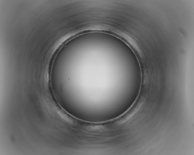 X0000115660837200911121212