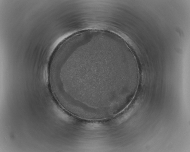X0000115660838200911121212