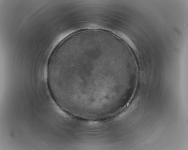 X0000115660839200911121212