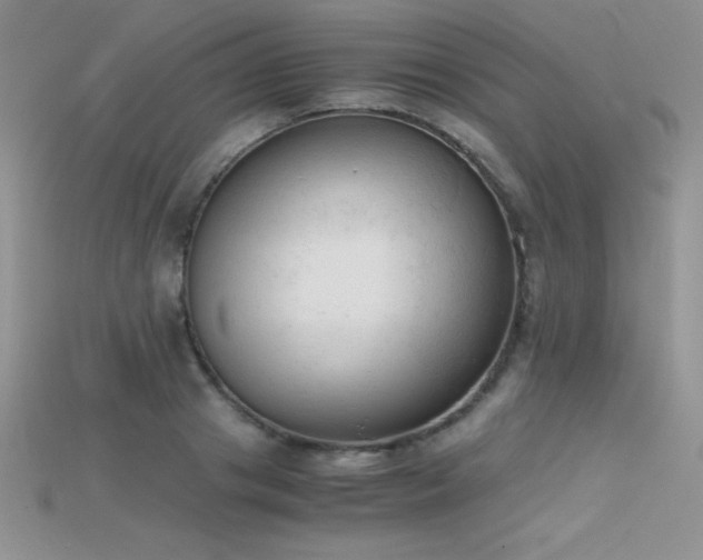X0000115660841200911121212