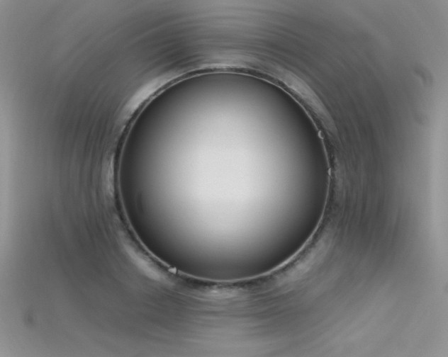 X0000115660842200911121212