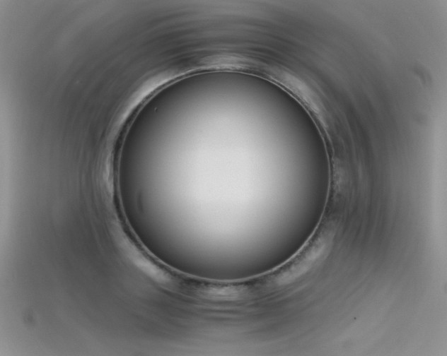 X0000115660843200911121212