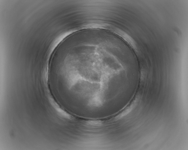 X0000115660844200911121212