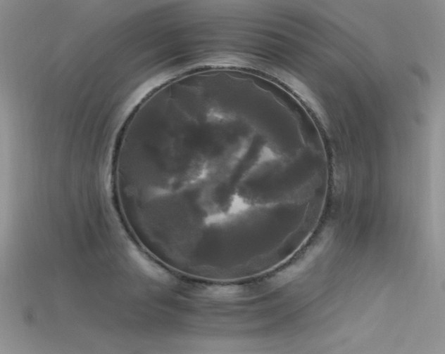 X0000115660845200911121212
