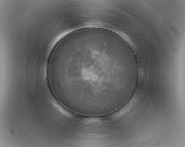 X0000115660846200911121212