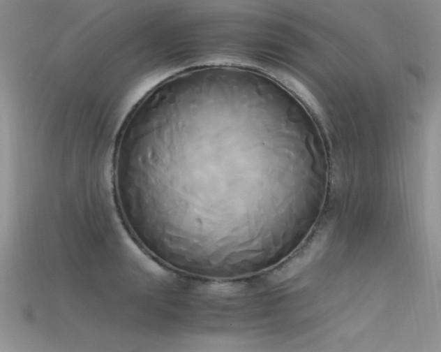 X0000115660847200911121212