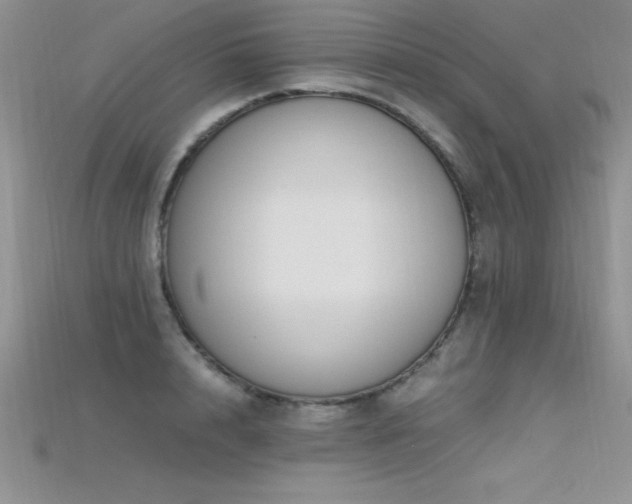 X0000115660848200911121212