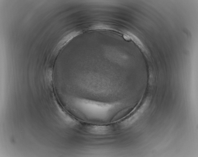 X0000115660849200911121212
