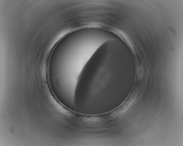 X0000115660851200911121212