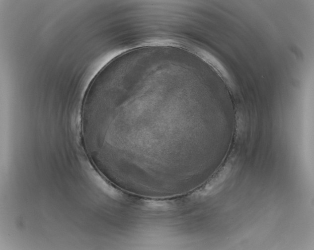 X0000115660852200911121212
