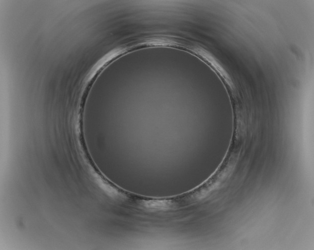 X0000115660853200911121212