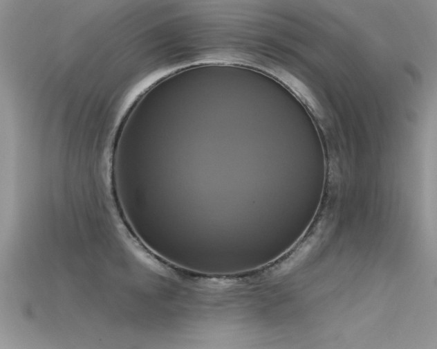 X0000115660854200911121212