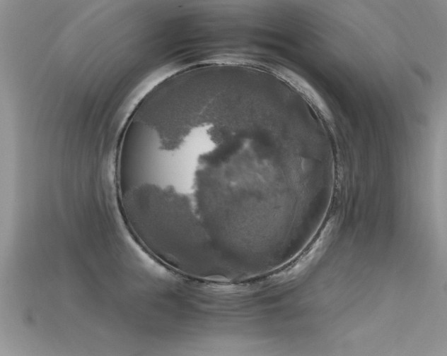X0000115660855200911121212