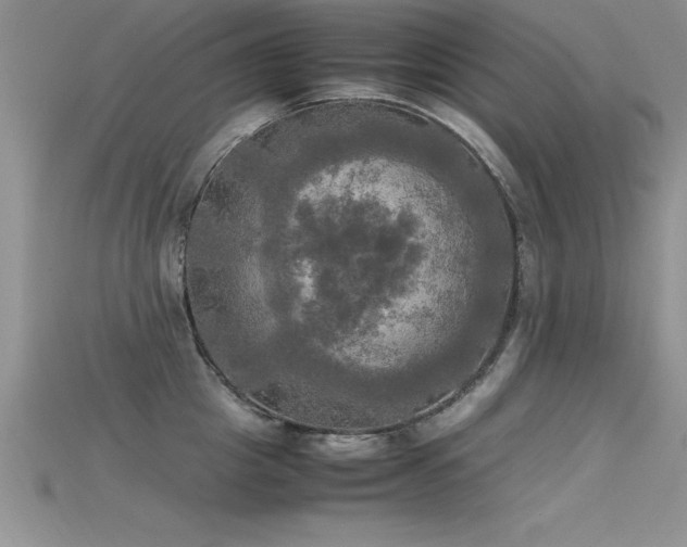 X0000115660857200911121212