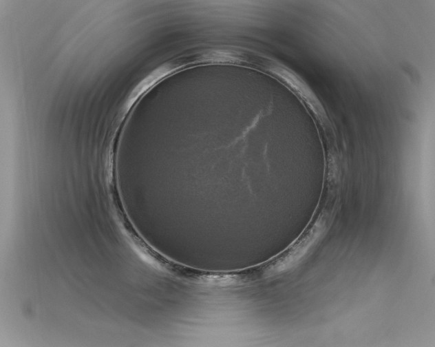 X0000115660858200911121212