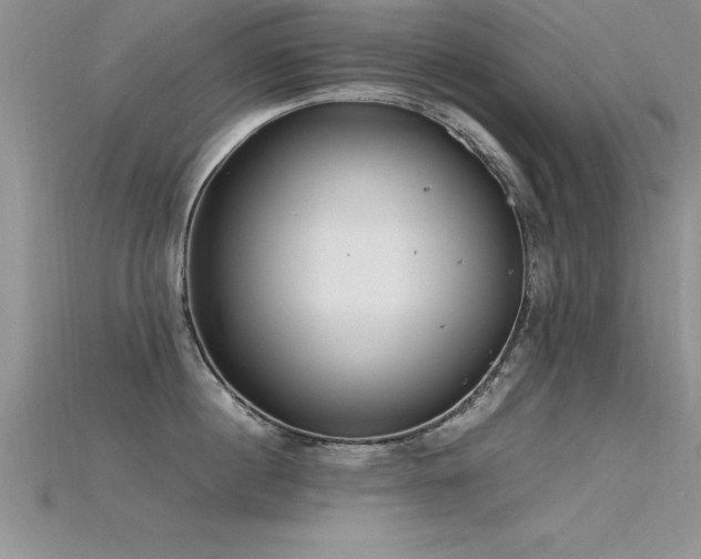X0000115660860200911121212