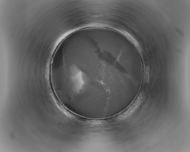 X0000115660862200911121212