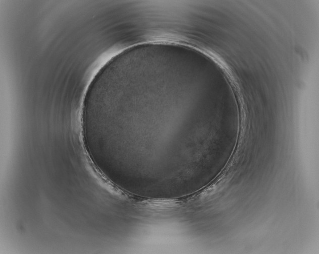 X0000115660864200911121212