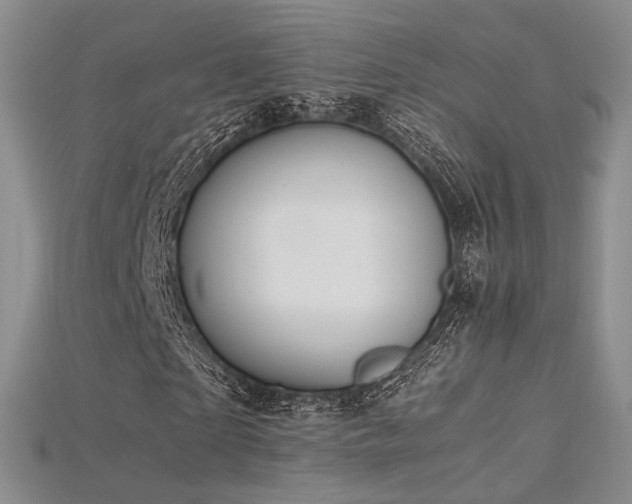 X0000115660865200911121212