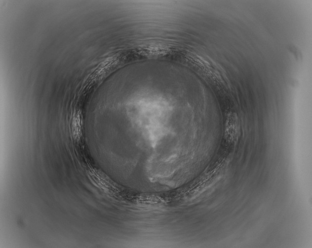 X0000115660866200911121212