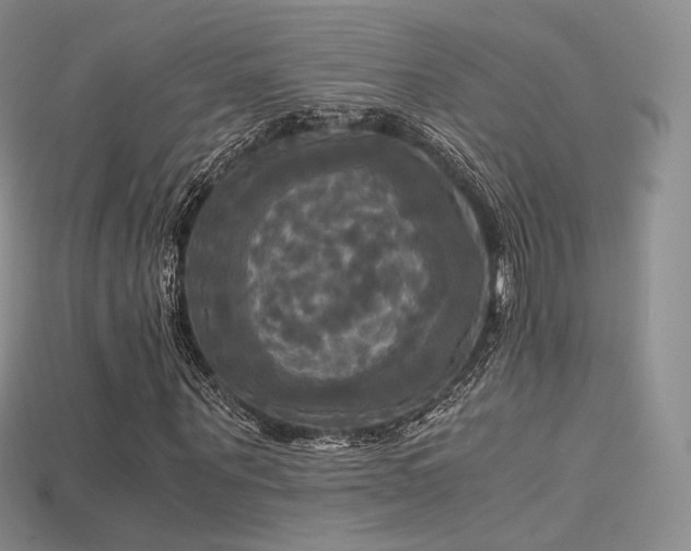 X0000115660867200911121212