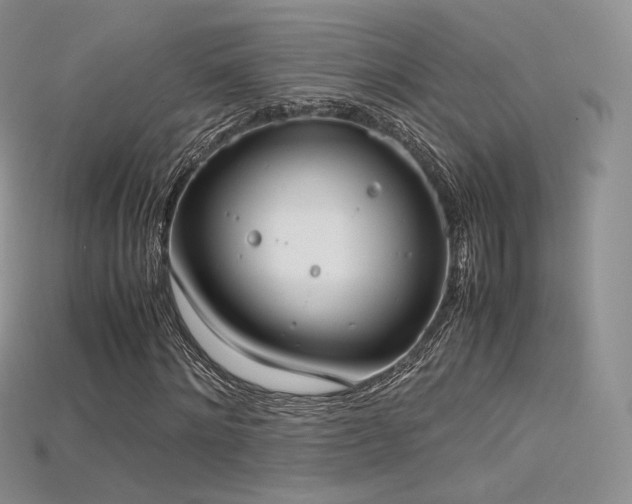X0000115660868200911121211