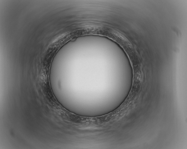 X0000115660869200911121211