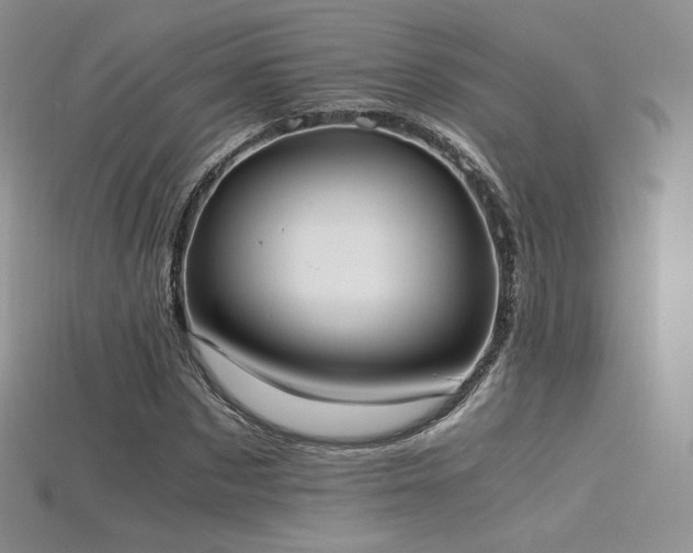 X0000115660873200911121211