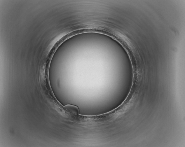 X0000115660875200911121211