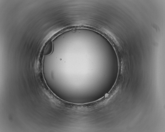 X0000115660876200911121211
