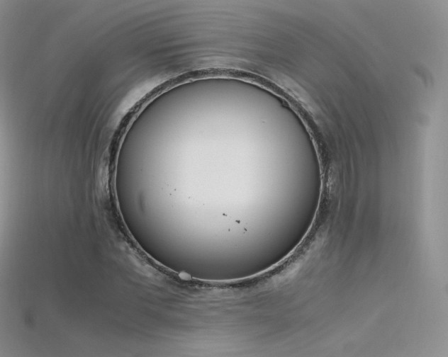 X0000115660877200911121211