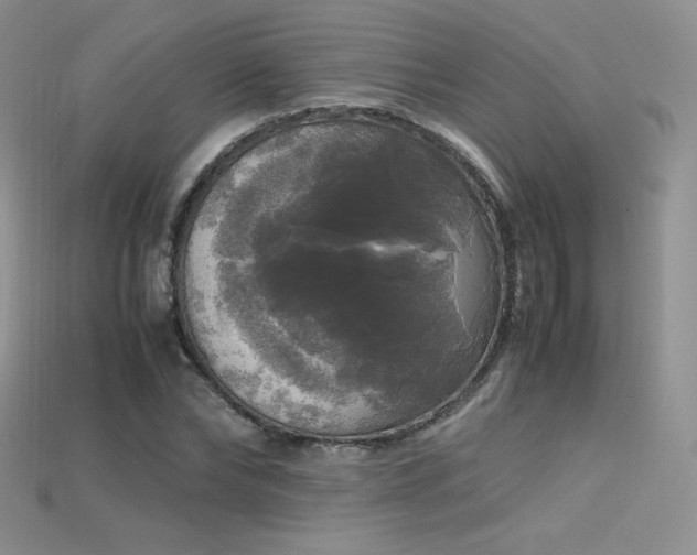 X0000115660878200911121211