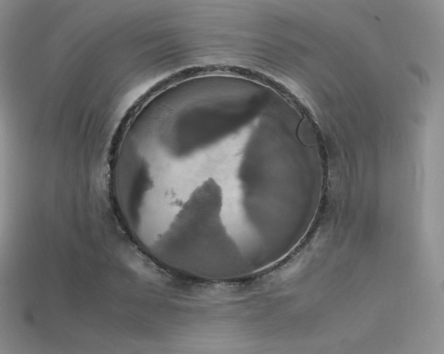 X0000115660879200911121211