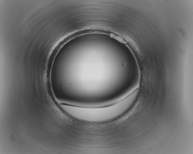 X0000115660880200911121211