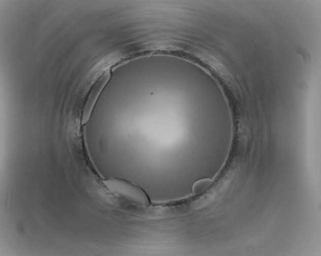 X0000115660881200911121211