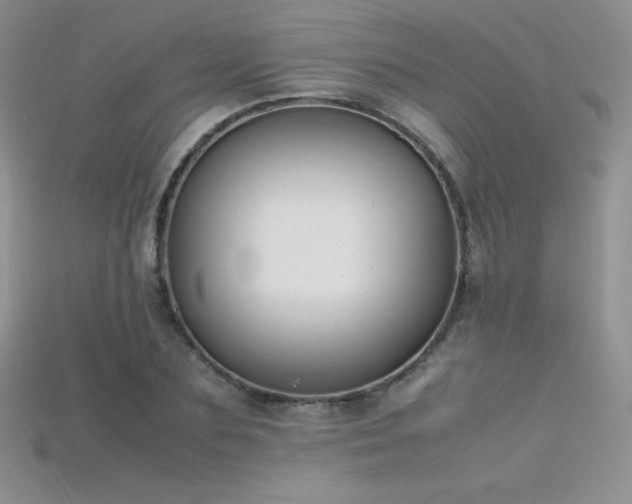 X0000115660883200911121211