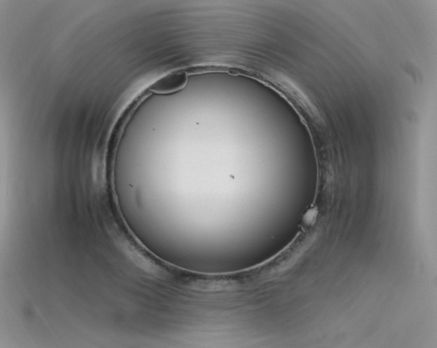 X0000115660884200911121211