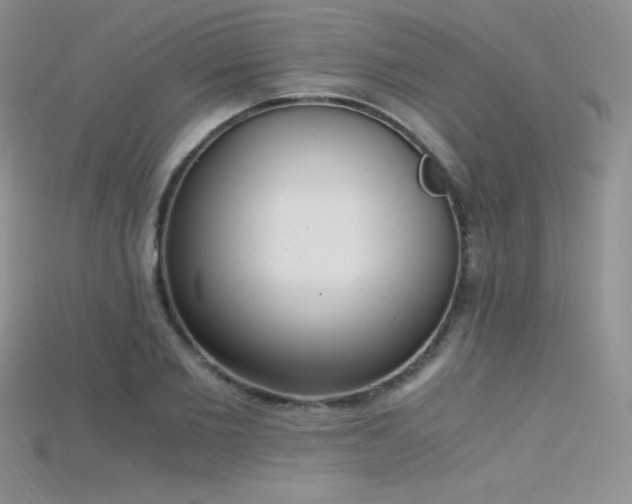X0000115660885200911121211