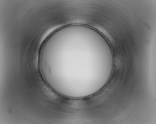 X0000115660886200911121211